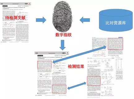 知网查重什么原理_知网查重报告图片