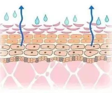 皮肤过度水合,会破坏皮肤屏障,也可能加重肌肤的敏感程度.