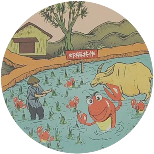 亚新体育遇到干旱气候如何掌握稻田小龙虾养殖技术要点-水田虾(图4)