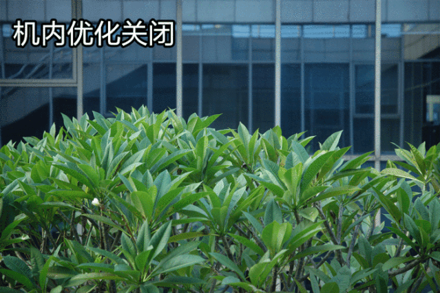 8 l is usm镜头暗角测试 光圈 24mm 70mm 佳能rf24-70mm f2.