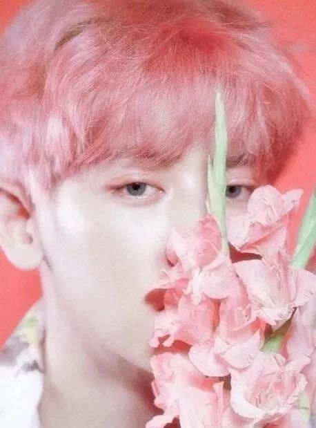 橘色头发 219a143b990344b6bf4c163382e42546.jpeg