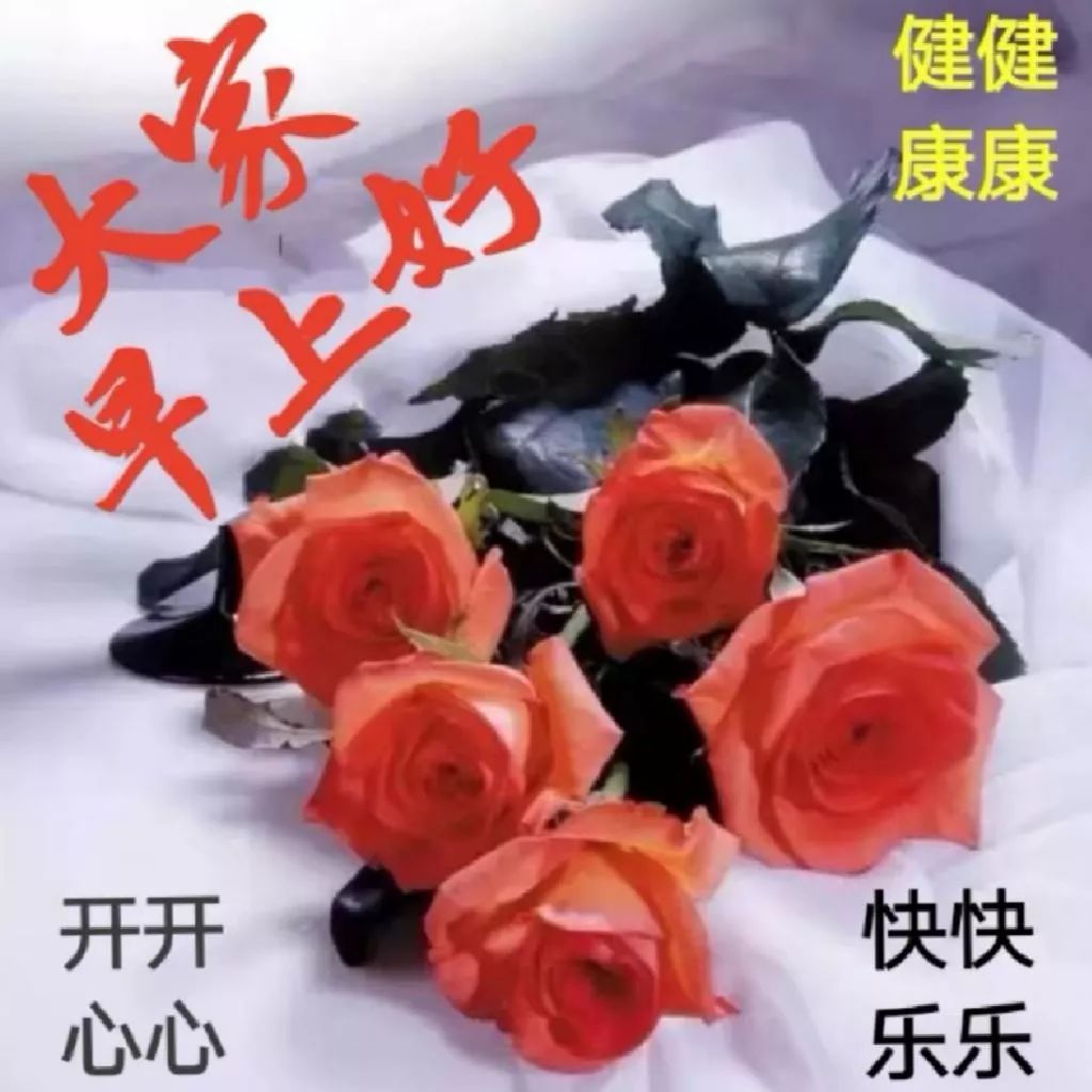 2019大家早上好新版祝福漂亮图片带字 清晨早上好问候