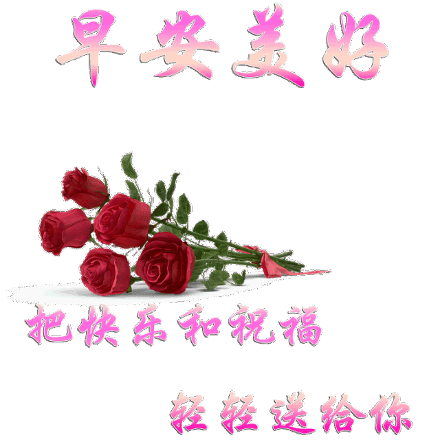 早上好秋的季节新的一天新的希望早安