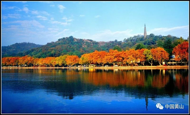 三评西湖十景·北街梦寻(林之江 摄)