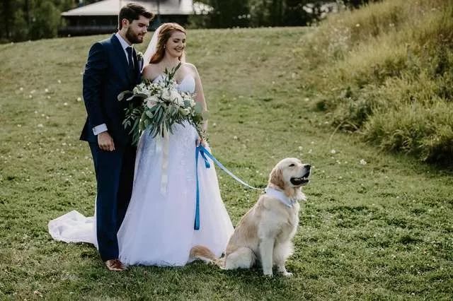 新人带着狗举办婚礼，可大家的注意力却在婚礼蛋糕上