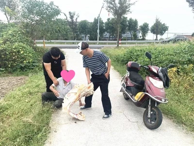 全国姓张的有多少人口_姓云全国人口有多少(2)