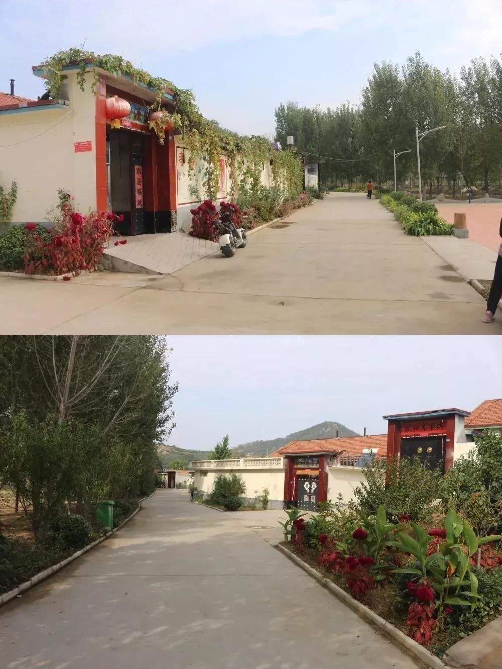 临朐县疫情解风了吗临朐县还要多久才解封