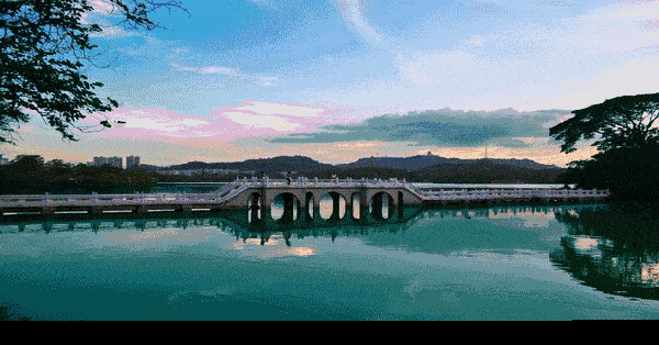 3bb8956fc0da4f6892eee3c49d7a4f5a.gif