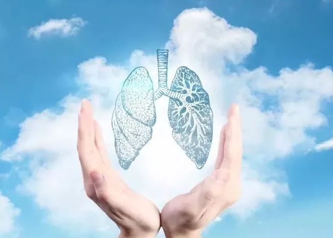 怎么养肺润肺 3d4d59affc0b4d6d9a3b30e26de94544.jpeg