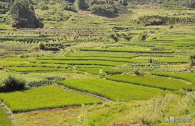 什么大地 410838a3816d4c8084f45802c0913775.jpeg
