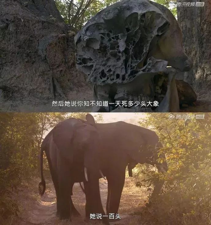 人口两头_两头身的q版人物(2)