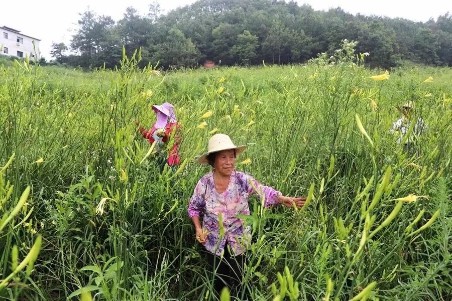 汉滨区贫困户人口名单_汉滨以 技 治 贫 变贫困人口压力劣势为资源优势(2)