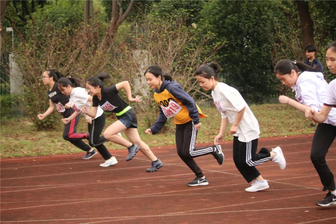 运动会特刊青春在奔跑中定格在跳跃中绽放