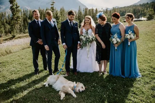 新人带着狗举办婚礼，可大家的注意力却在婚礼蛋糕上