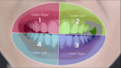 582b306cbff74b91ab4c19e580e91a32.gif