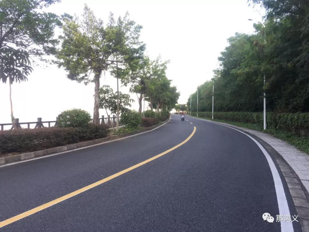 在惠州市大亚湾区澳头镇衙前村里头,有一条海边绿道连接小桂和深圳的