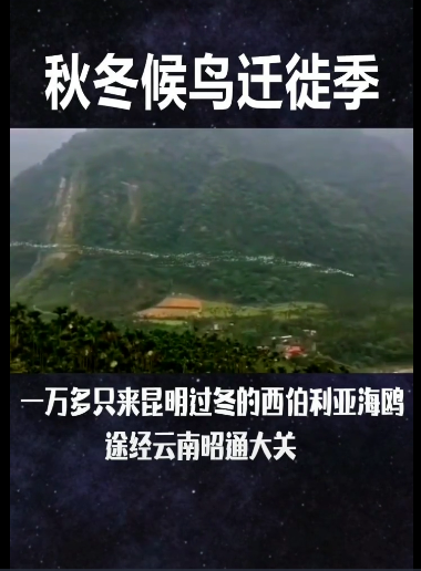 5e9ce0d37ab04e988cb96b7c3906e635.png