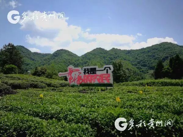湄潭人口数量_湄潭茶壶图片
