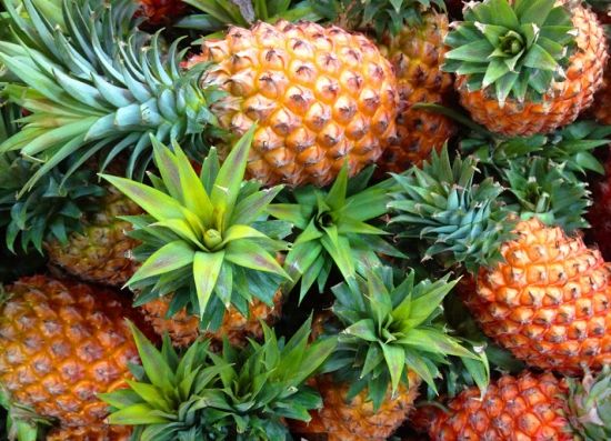 凤梨要每年种植吗 73321b080caa4319922349cdc73592ca.jpeg