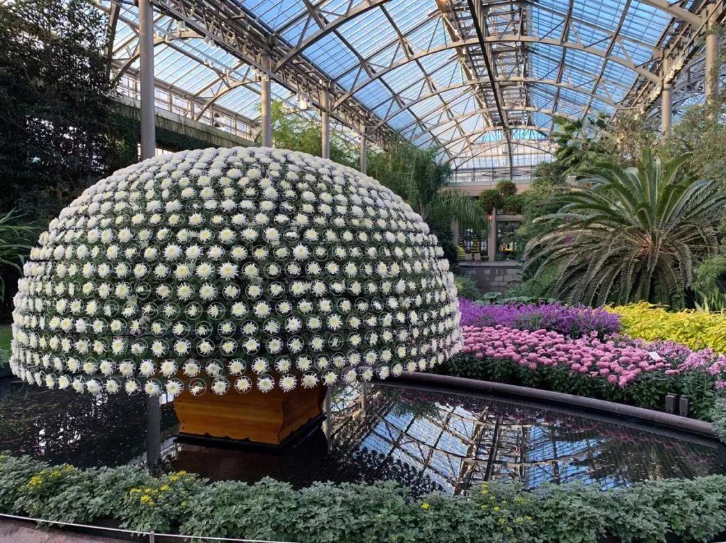 周末去哪儿 | 荒野求生、电影节、万圣节前奏系