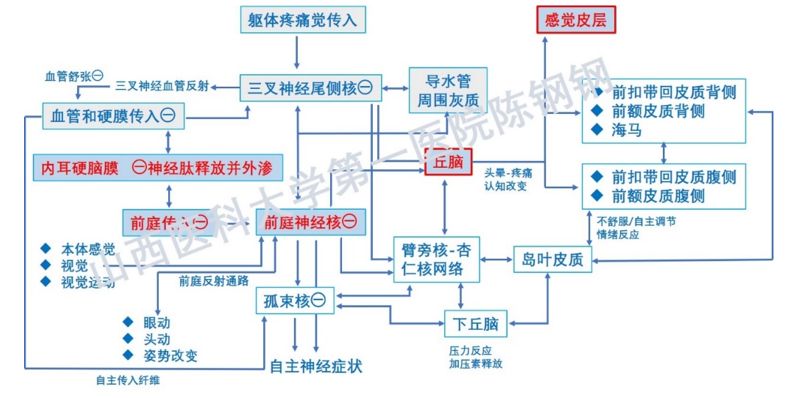 偏头痛的原理_神经末梢炎