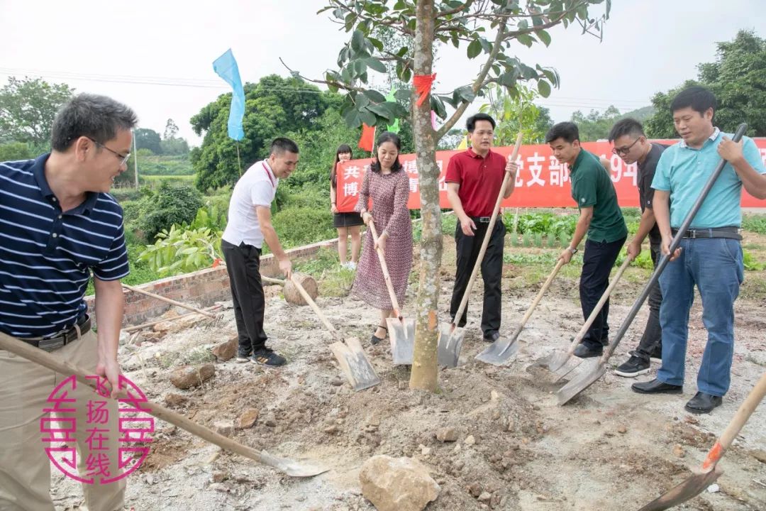 博白沙河镇各村人口_广西博白和睦村图片