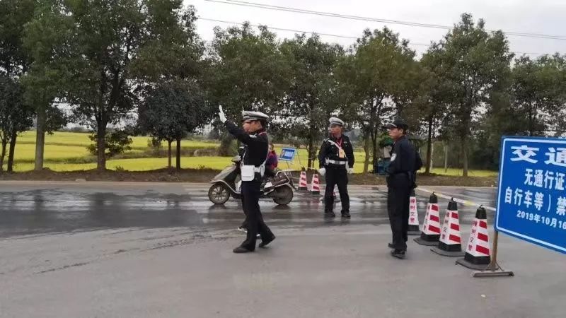 樟树昌付人口_樟树(2)