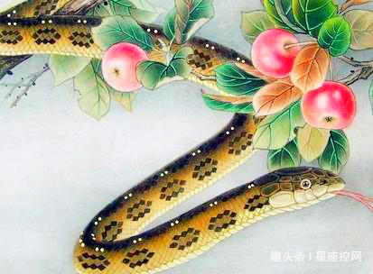 蛇属相和什么属相搭 84b645eb1c2b450081bbbfcdddff78ca.jpeg