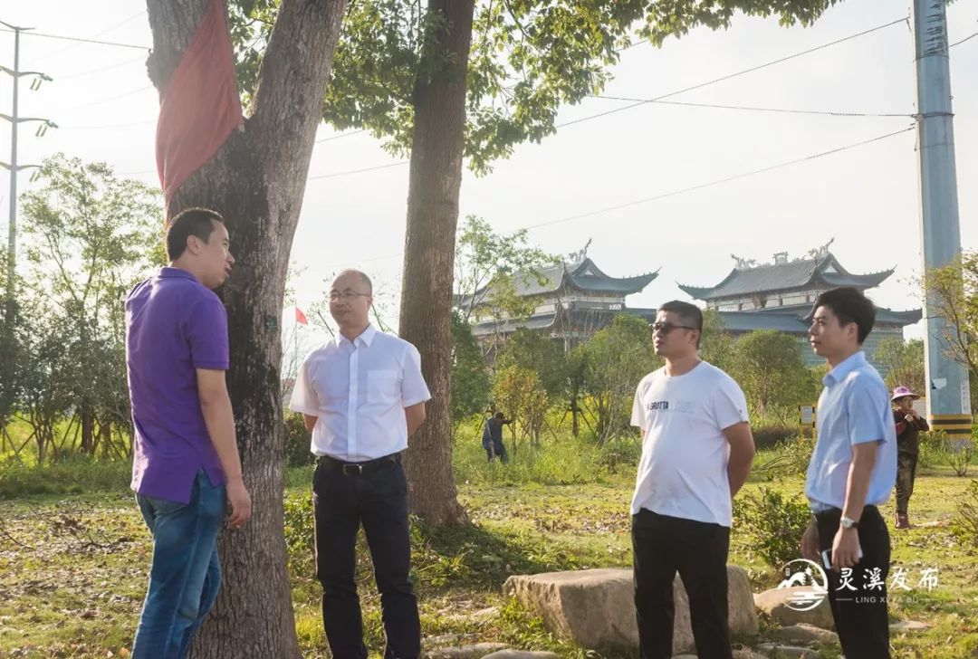 苍南有多少人口_浙南抗倭名城 金乡卫