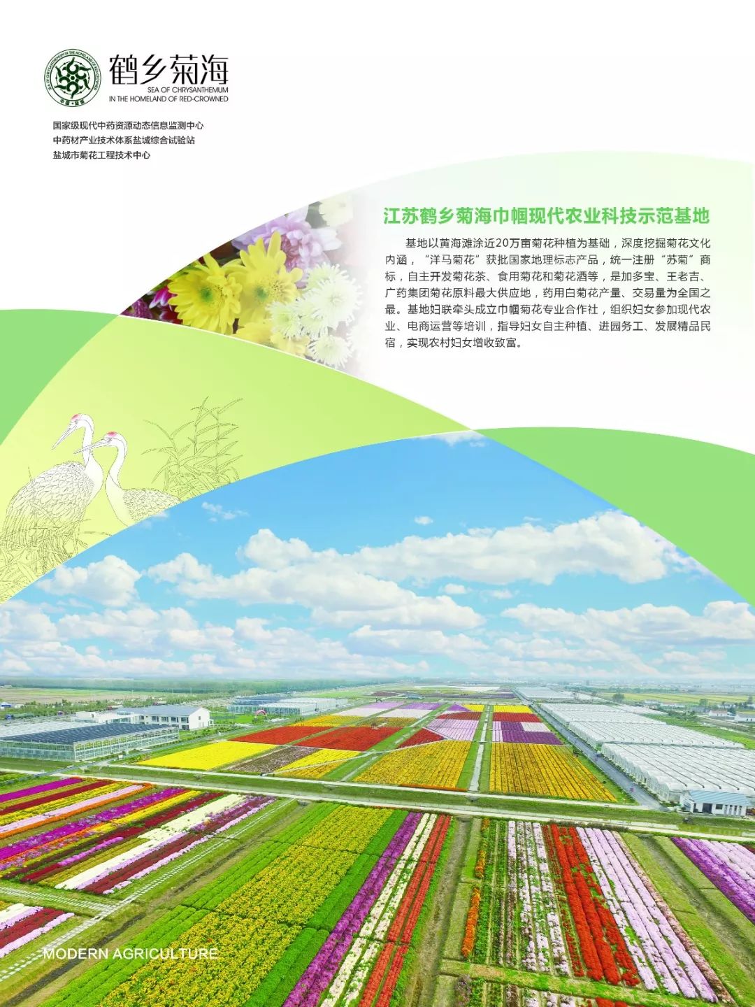 射阳有多少人口_射阳风景图片