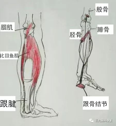 什么是足下垂你了解吗