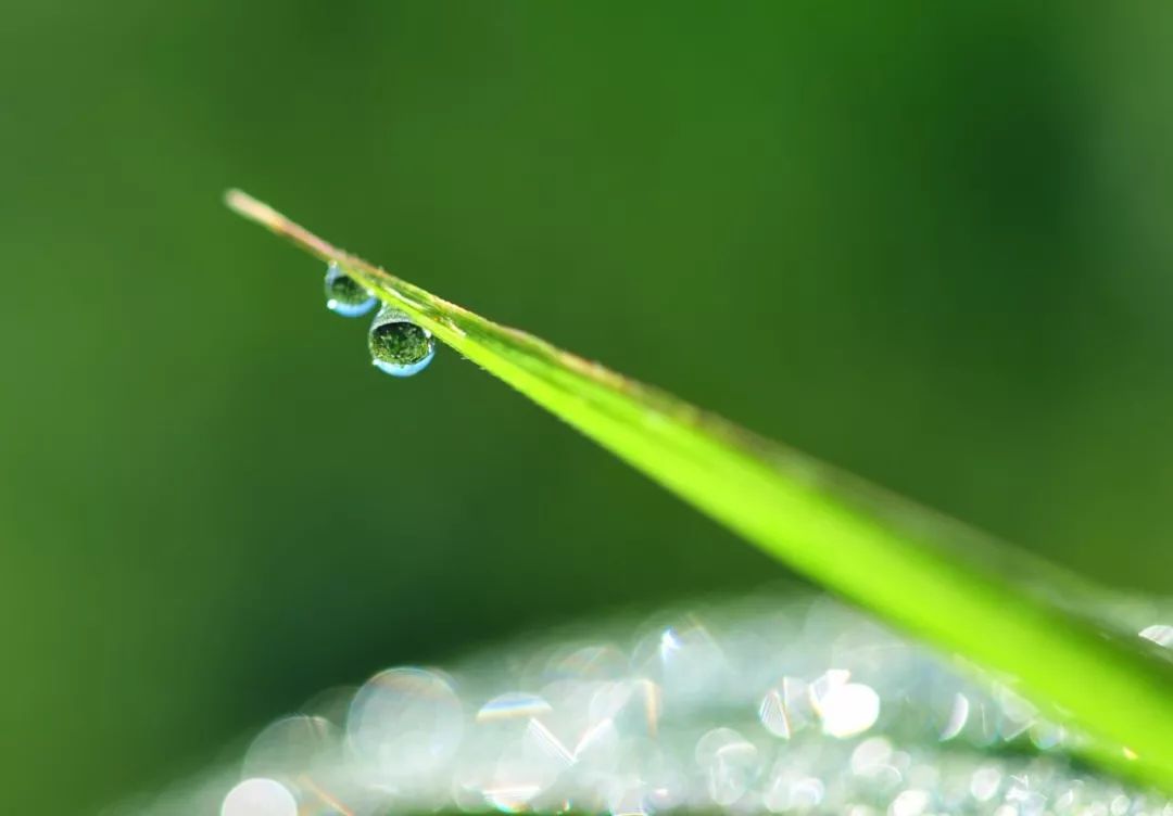 美文朗读:只求半称心,才能更开心