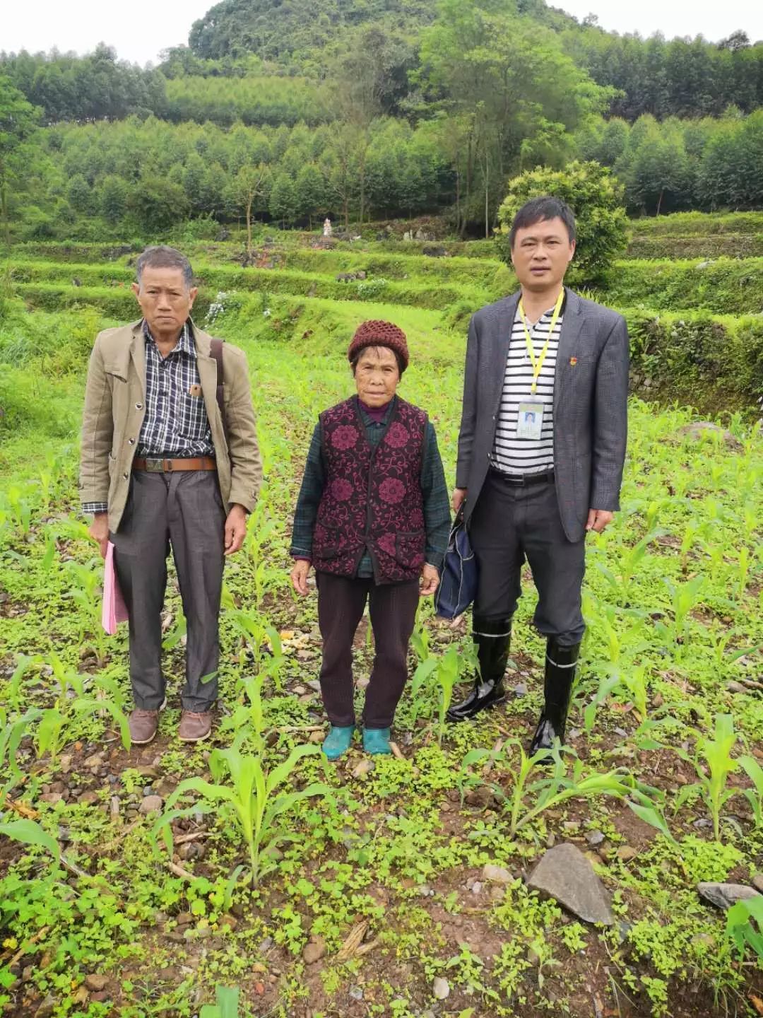 果遂镇人口_人口普查