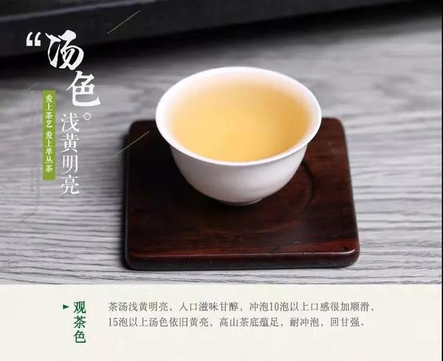 免费品尝茶的文案 9c2b461ac6224433a4e683d5144551eb.jpeg