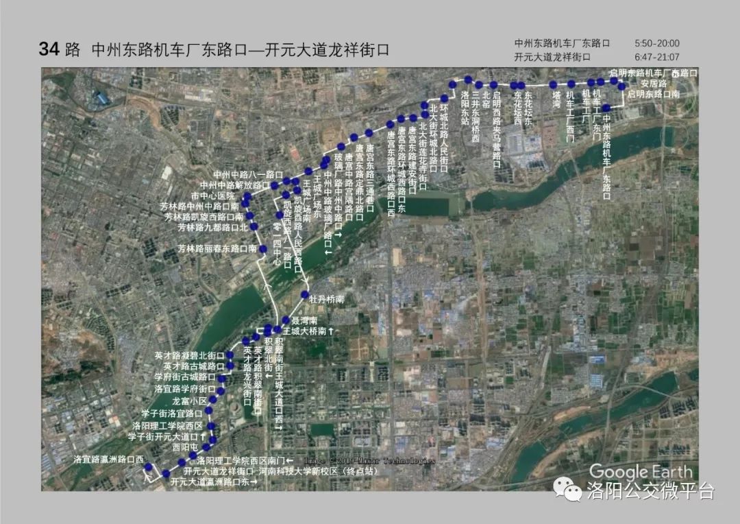 解放前洛阳有多少人口_洛阳牡丹(2)