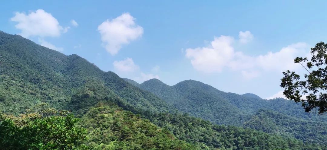 行稳致远勇攀高峰qd团队携品牌旗帜登顶肇庆北岭山