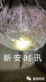 a28a0e757d7f41c49d0e10d941c4b168.png