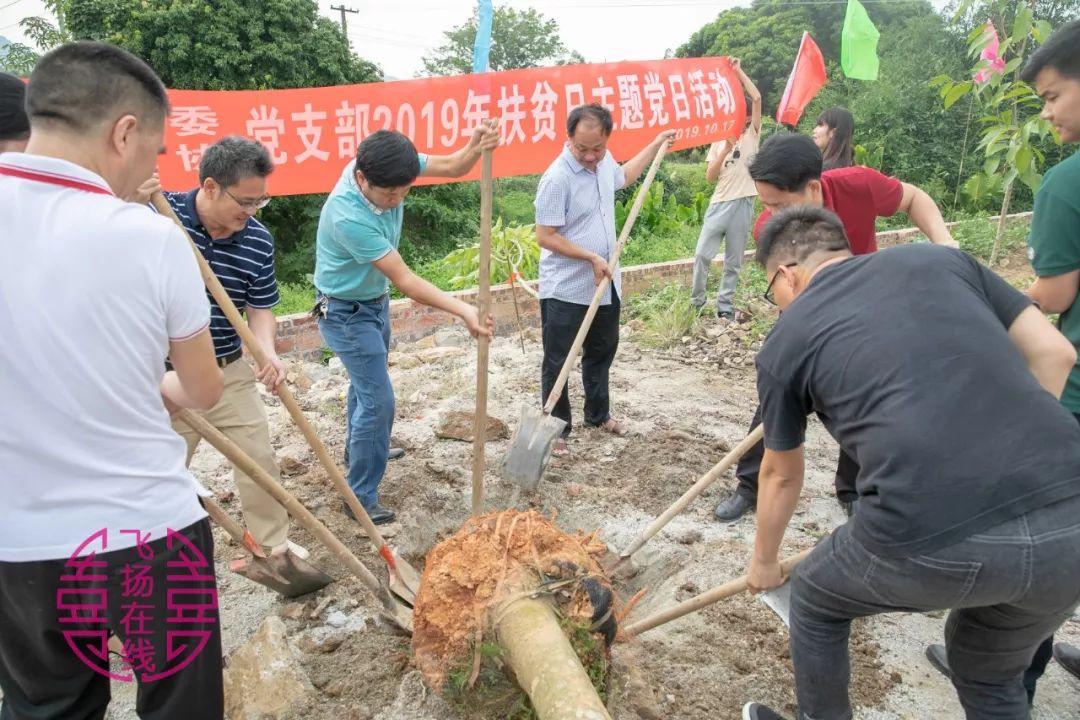 博白沙河镇各村人口_广西博白和睦村图片