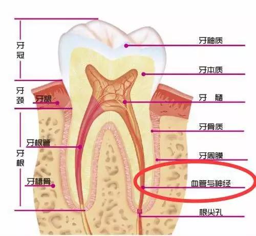 b1ef25ca765a41bf90330c82452988f8.JPG