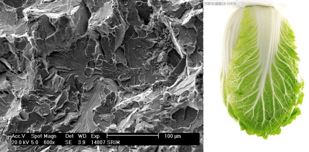 沿晶断裂像冰糖,解理断裂像白菜.这才是专业的失效分析理解
