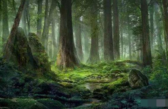 斯坦贝克《巨人树》:远古洪荒遗迹,让心灵震撼到的"宁静"