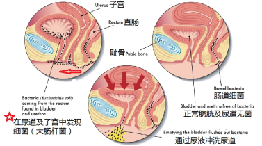 c6d9c2baccec4ad9a263e9333ece1749.png