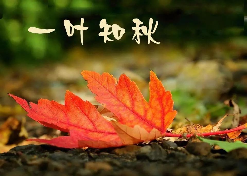因秋天是收获的季节,后来"禾"突现了出来,表达禾谷成熟的意思,《说文