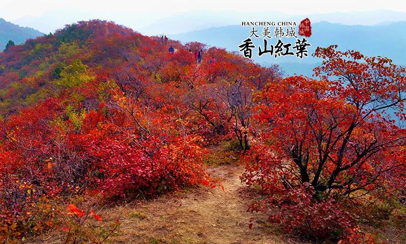 2019韩城金秋香山红叶节等你来!