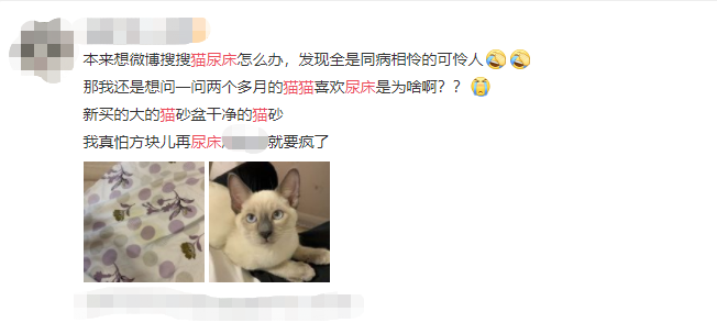 猫又简谱_儿歌简谱