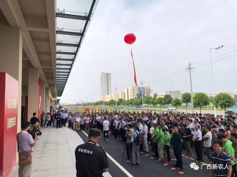 2019年广西各地市经济总量_广西经济发展图片(3)