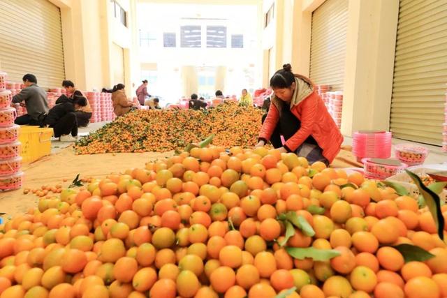 蔬菜批发市场猜成语_看图猜成语(2)