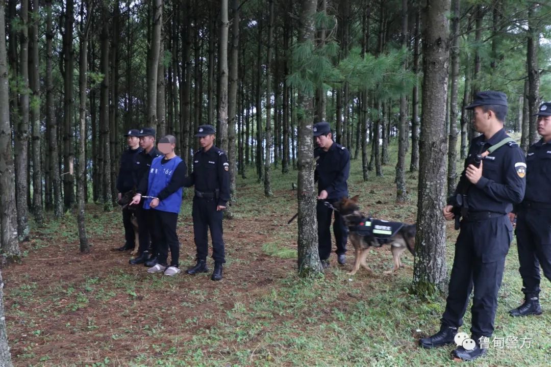 昭通鲁甸摧毁两个野外赌博窝点,嫌疑人公开指认现场