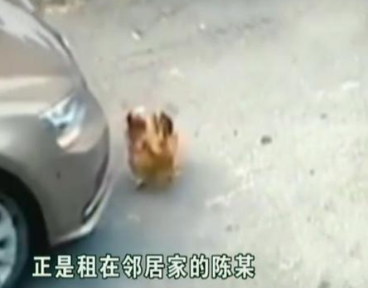 周公解梦，梦见开车撞死人的深层含义与心理解析