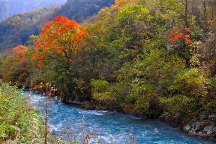 秘境四:平武虎牙大峡谷